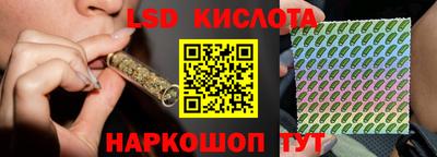 прущие крисы Кингисепп