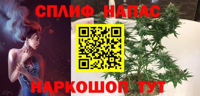прущие крисы Кингисепп