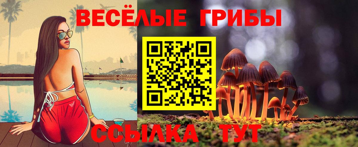 Галлюциногенные грибы Magic Shrooms  Вход с VPN  Евпатория 